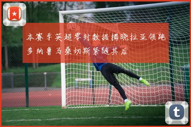 本赛季英超零封数据揭晓拉亚领跑多纳鲁马桑切斯紧随其后